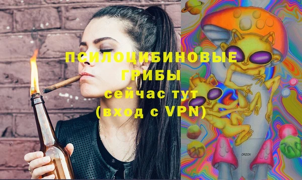 бошки Балахна